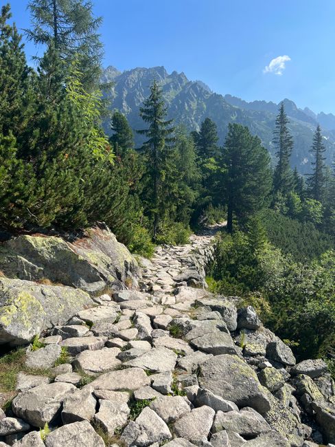 Passeggiate, rifugi e panorami: come scegliere un itinerario facile in alta montagna